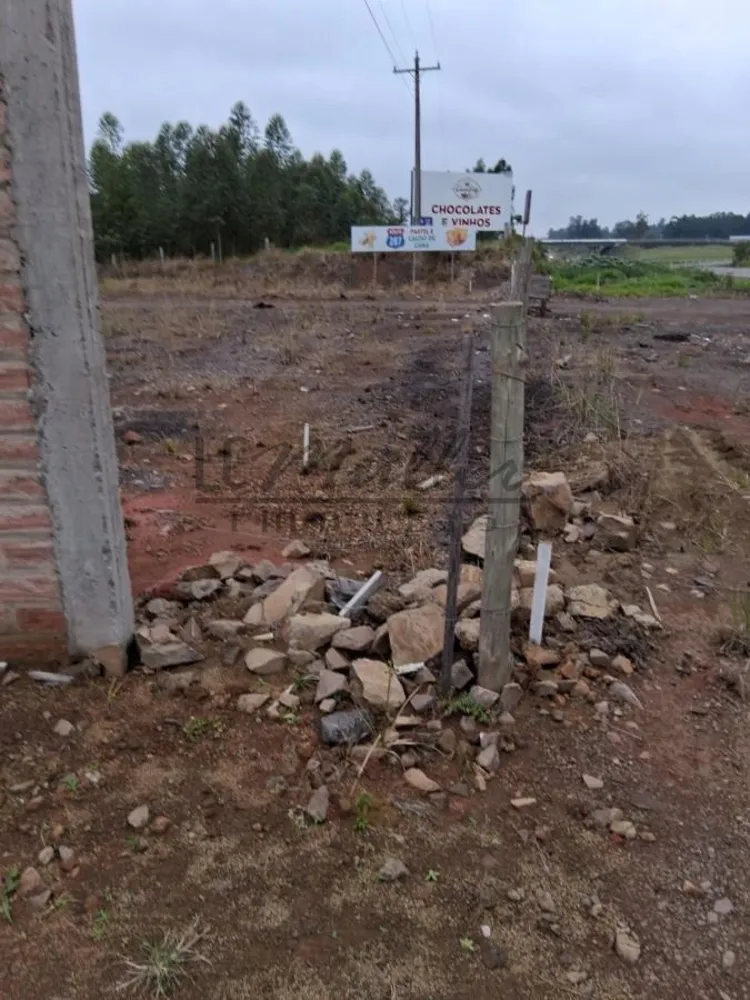 Terreno - Foto 8
