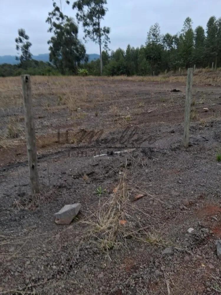 Terreno - Foto 3