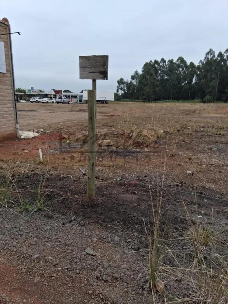 Terreno - Foto 2