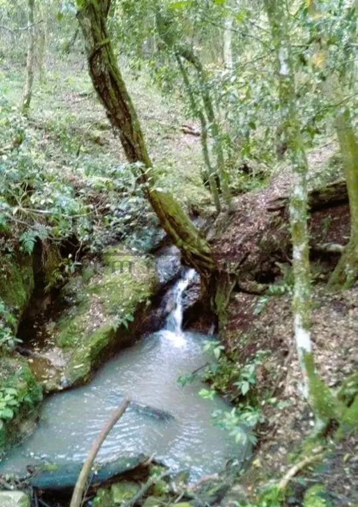 Chácara, 5 m² - Foto 5