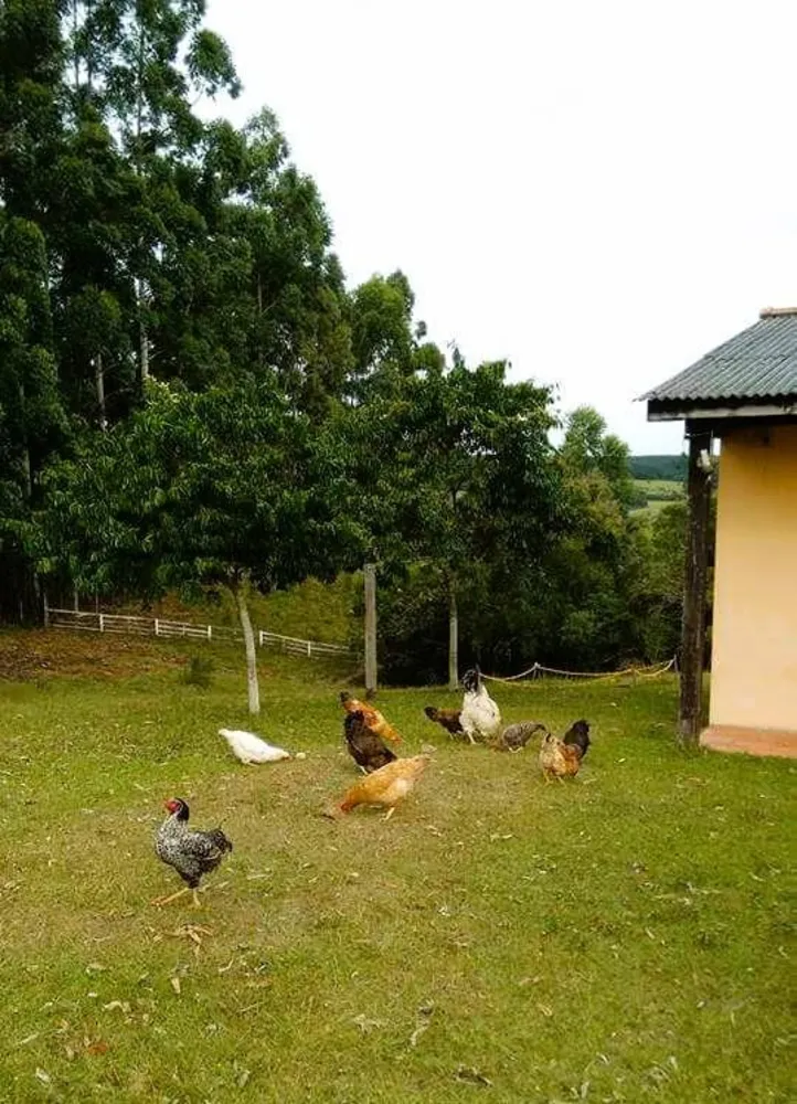 Chácara, 5 m² - Foto 2