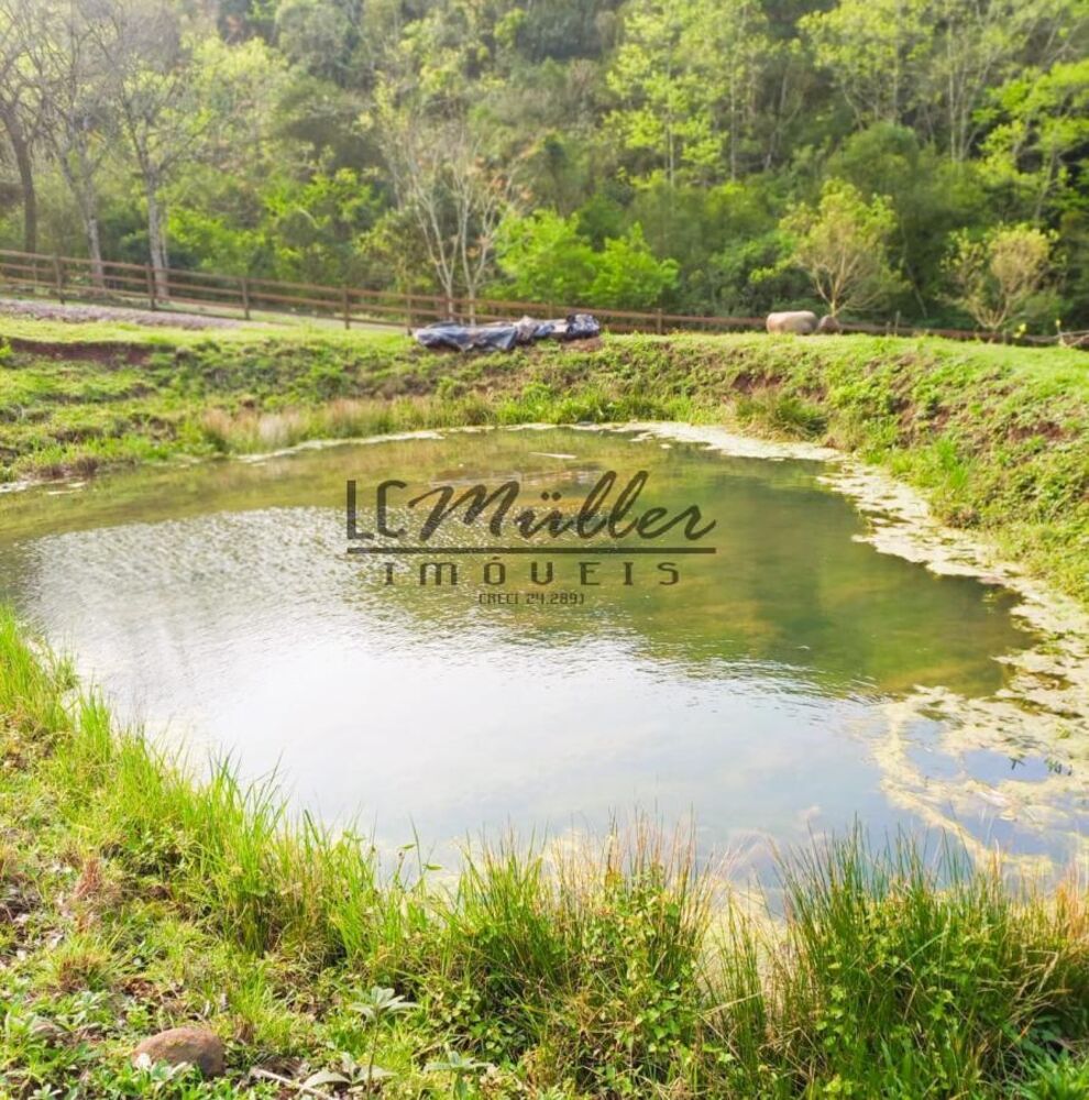 Chácara à venda - Foto 4
