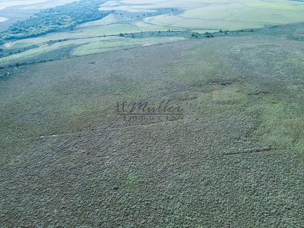 Fazenda, 446 m² - Foto 8