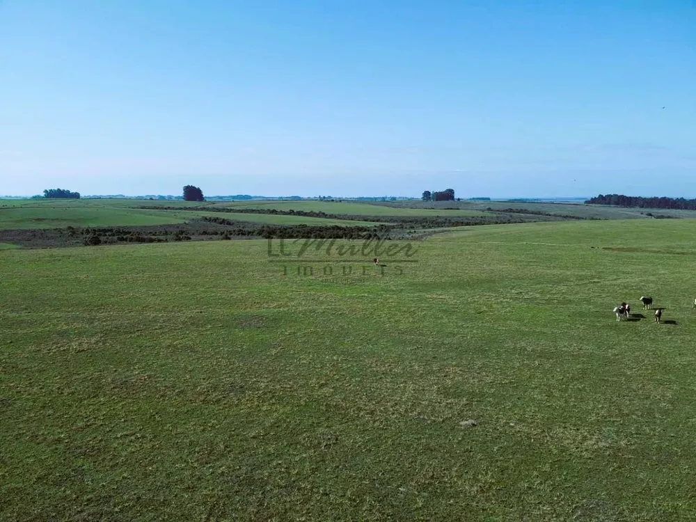 Fazenda, 446 m² - Foto 2