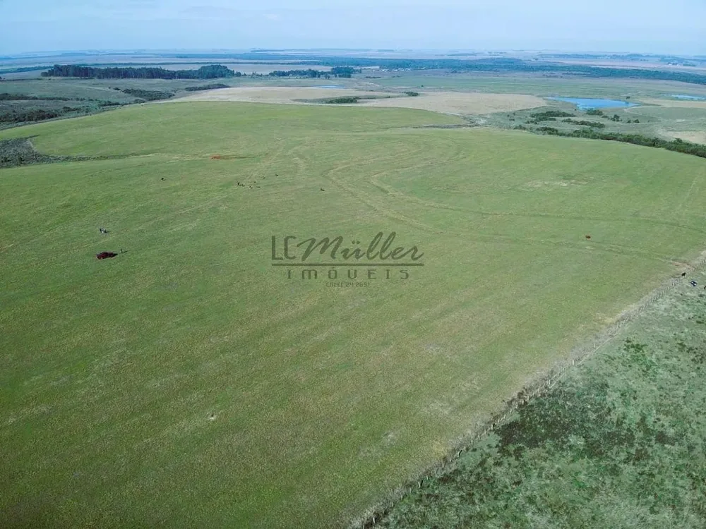 Fazenda, 446 m² - Foto 5