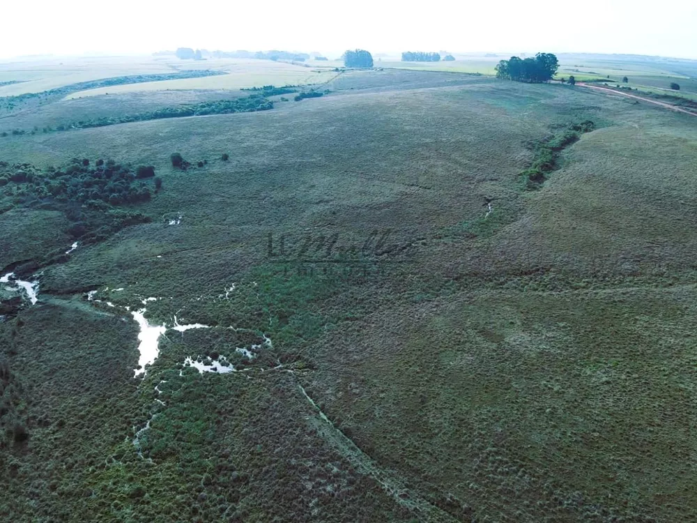 Fazenda, 446 m² - Foto 4