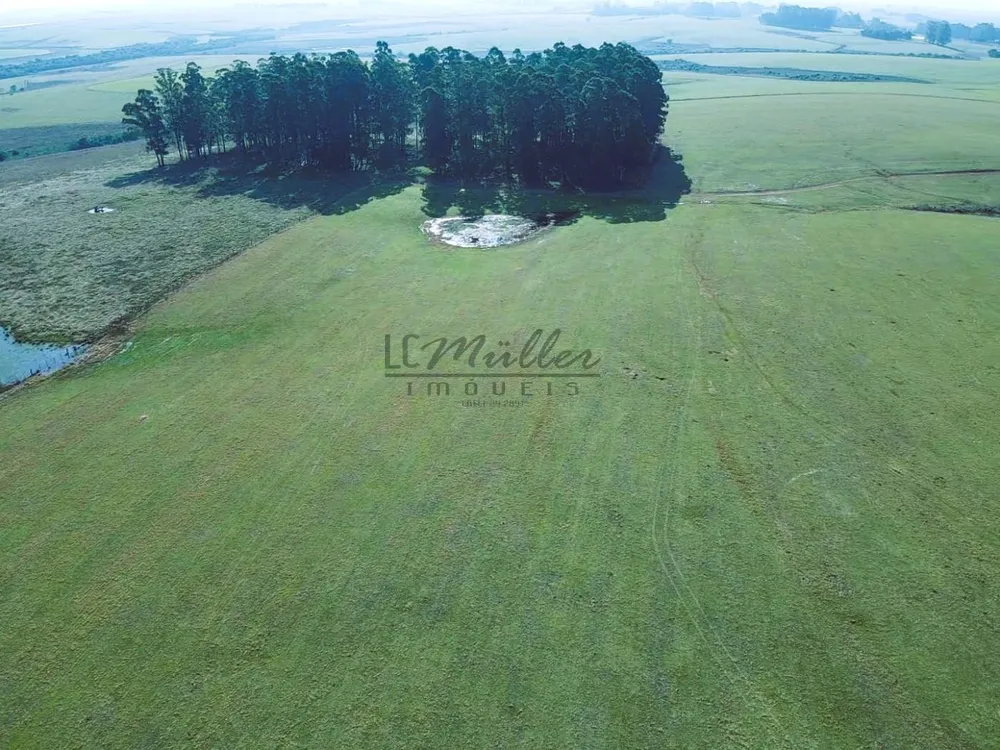 Fazenda, 446 m² - Foto 5