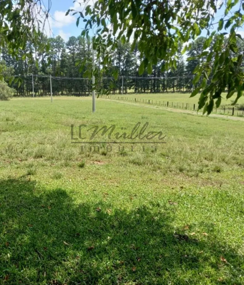 Fazenda, 125 m² - Foto 7