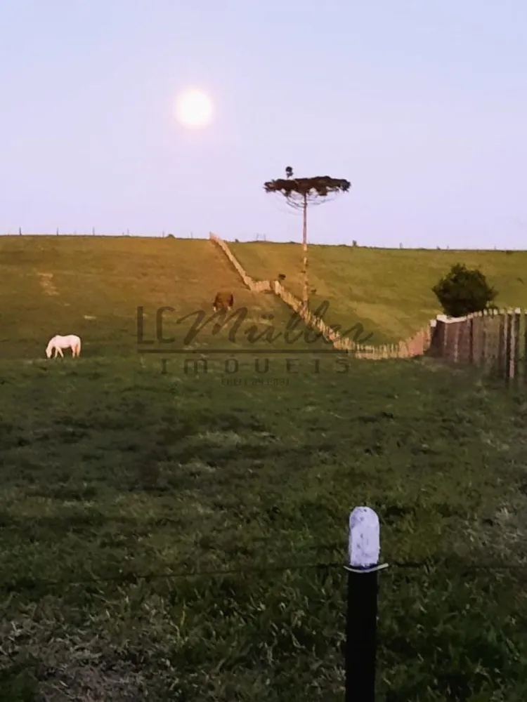 Fazenda, 51 m² - Foto 6