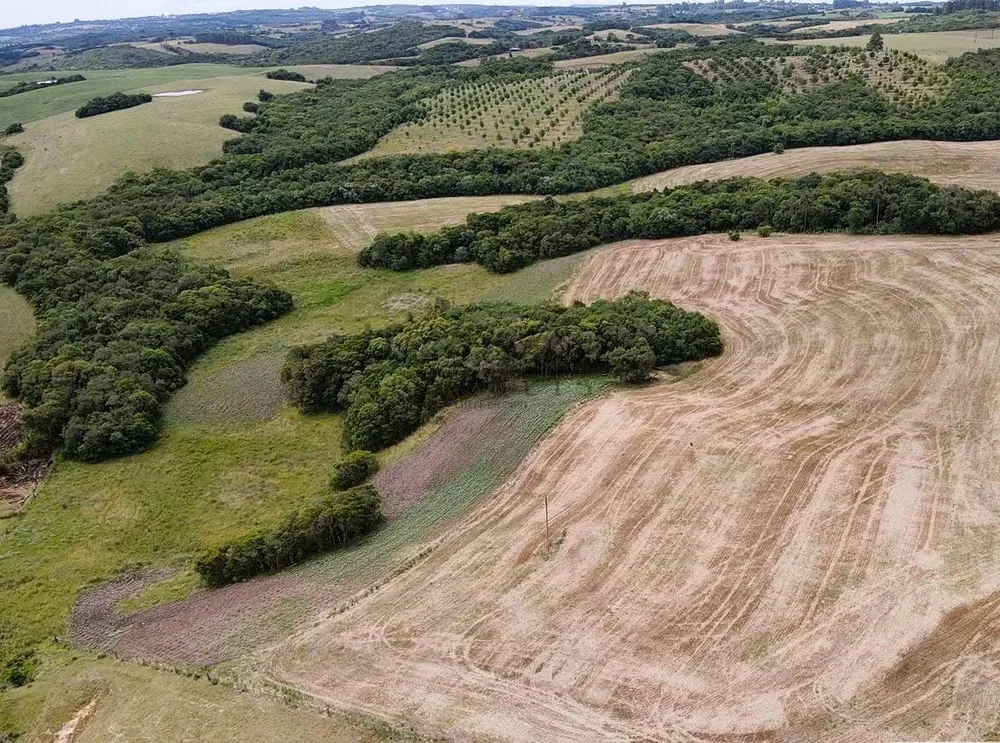 Fazenda, 51 m² - Foto 2