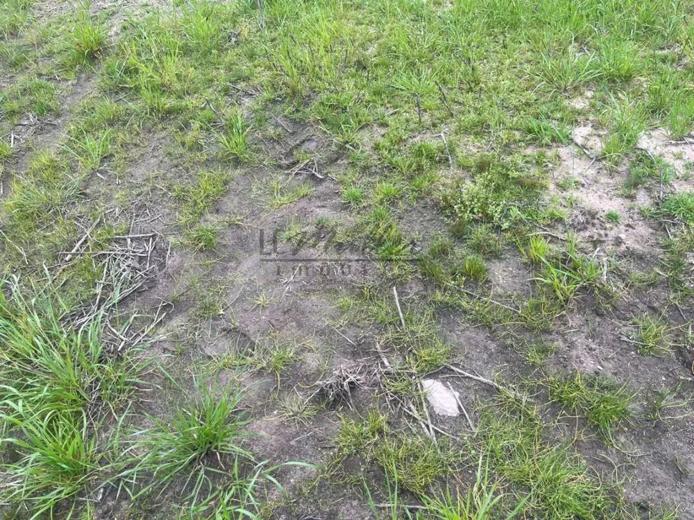 Fazenda, 60 m² - Foto 3
