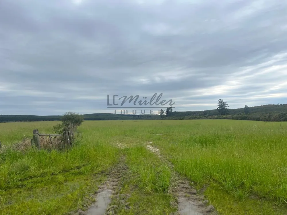 Fazenda, 60 m² - Foto 4