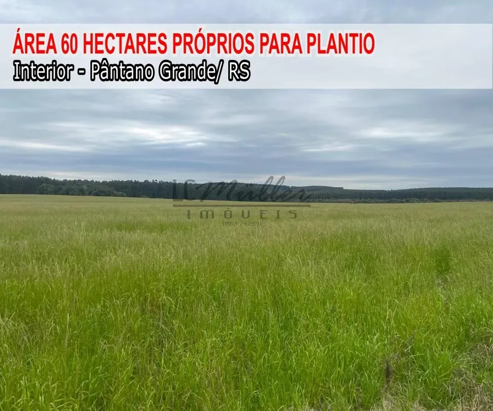 Fazenda, 60 m² - Foto 1