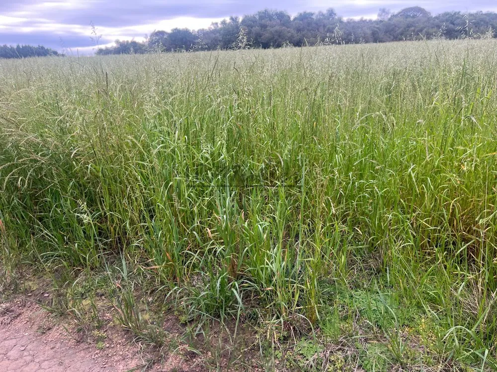 Fazenda, 60 m² - Foto 9