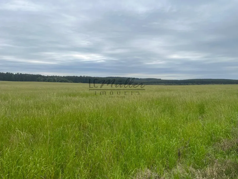 Fazenda, 60 m² - Foto 8