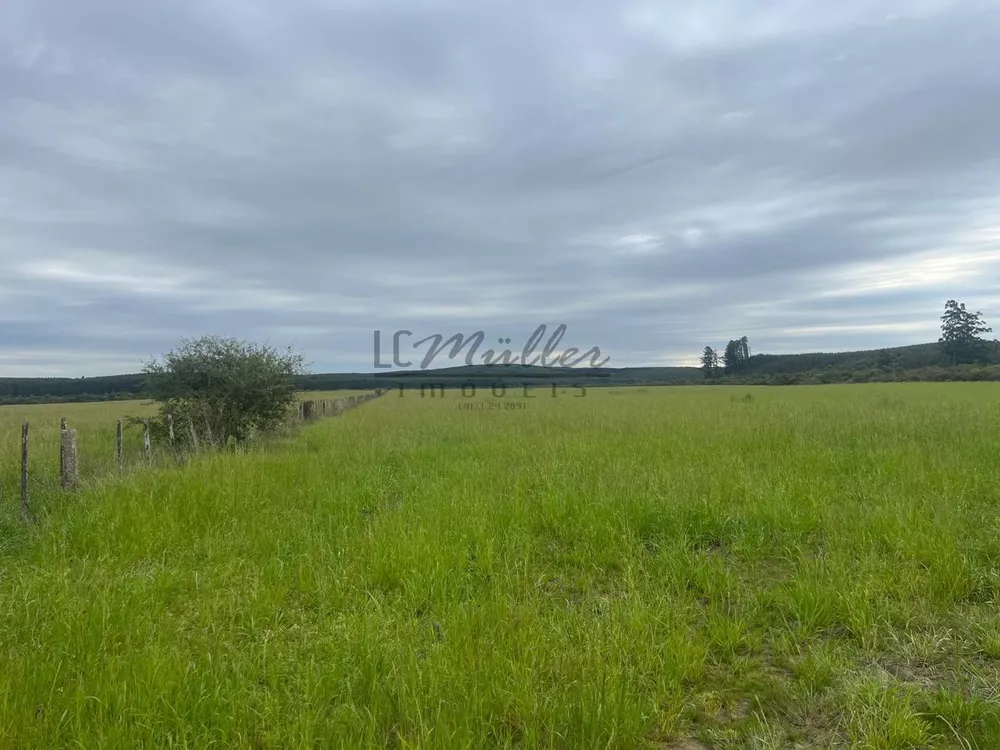 Fazenda, 60 m² - Foto 4