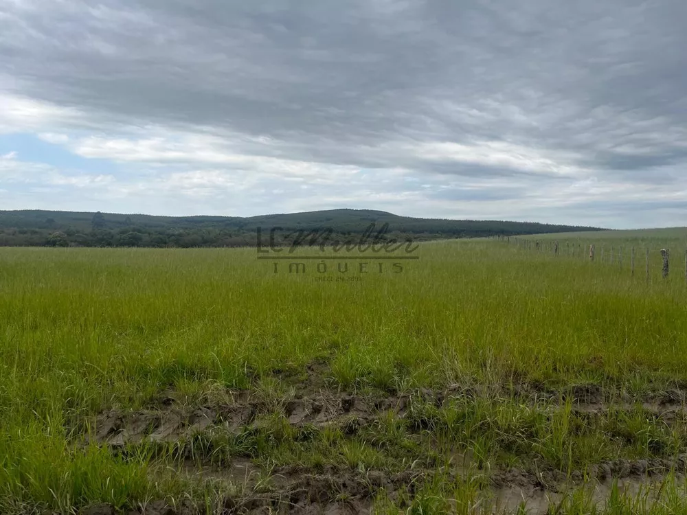 Fazenda, 60 m² - Foto 2
