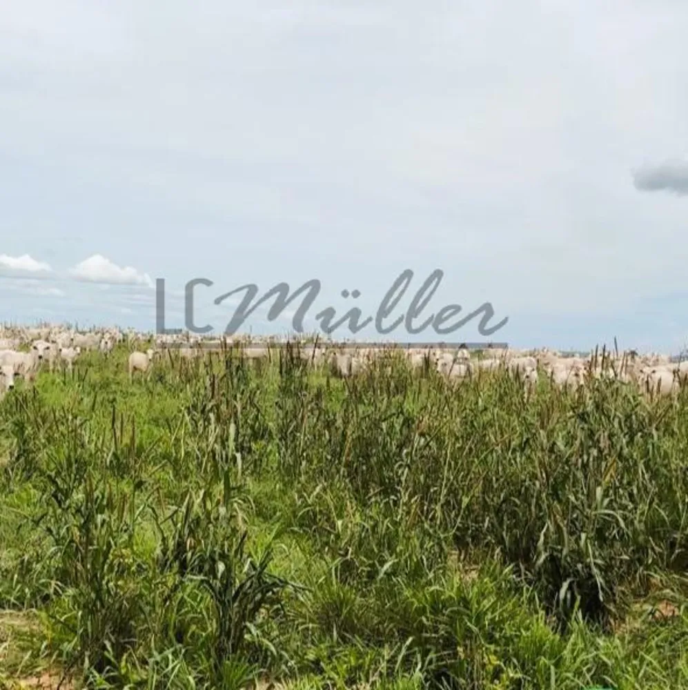 Fazenda, 2856 m² - Foto 20