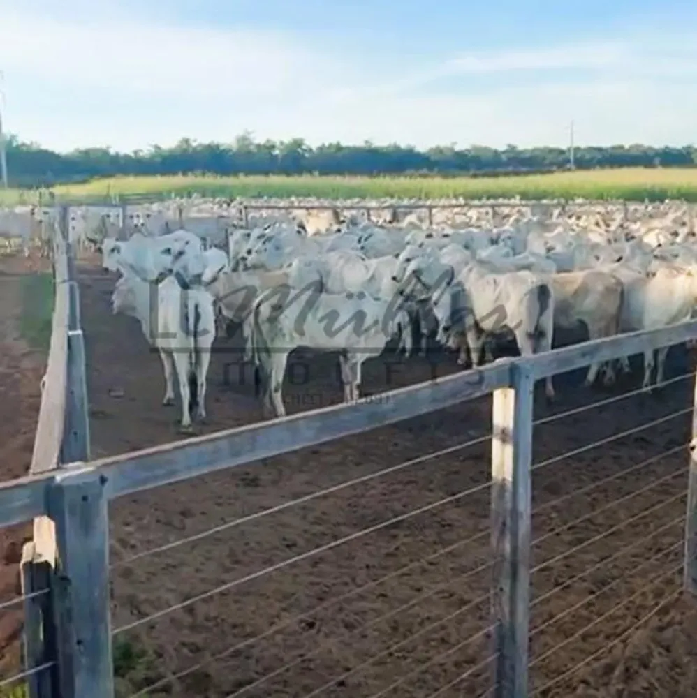 Fazenda, 2856 m² - Foto 8