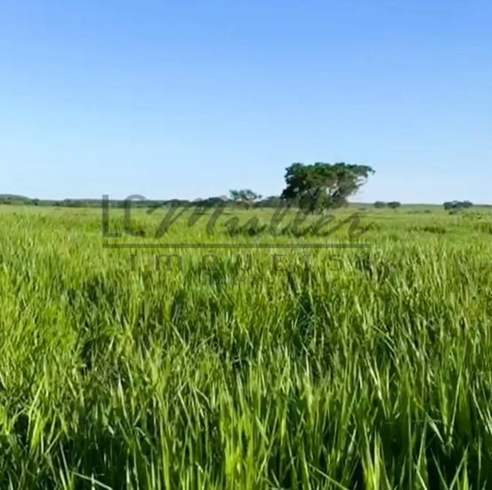 Fazenda, 2856 m² - Foto 11