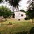 Chácara, 2 quartos, 450 m² - Foto 3