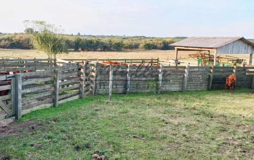 Fazenda, 56 m² - Foto 9