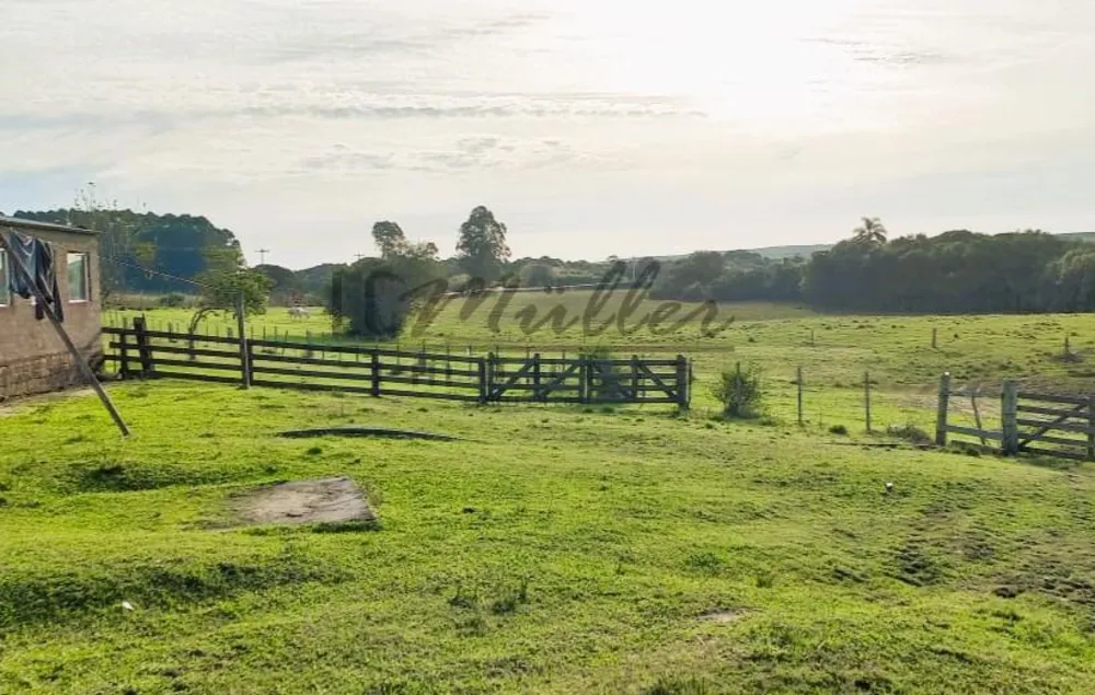 Fazenda, 56 m² - Foto 8