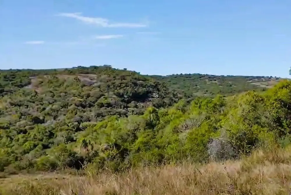 Fazenda, 217 m² - Foto 8