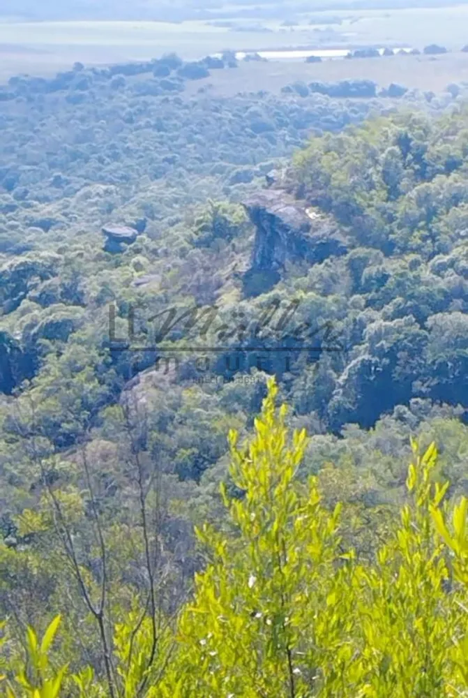 Fazenda, 217 m² - Foto 11