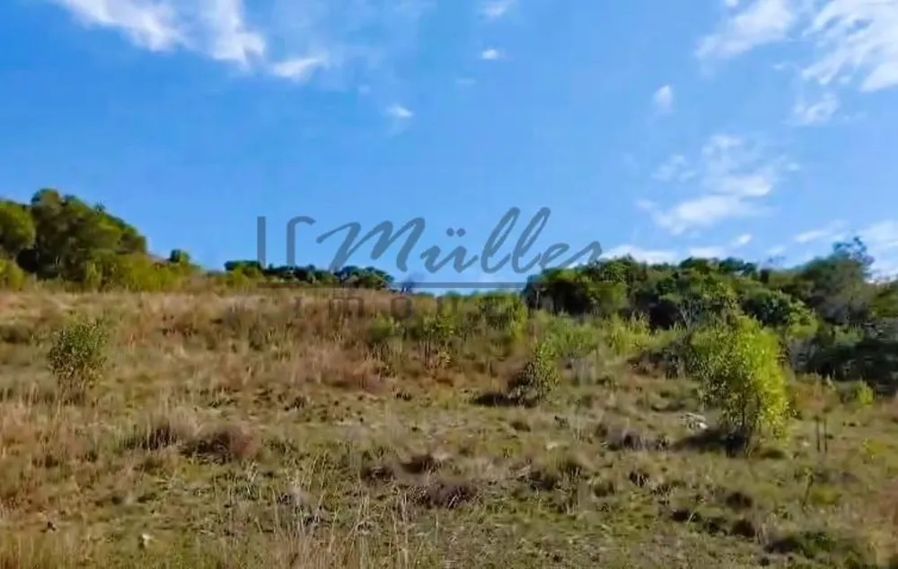 Fazenda, 217 m² - Foto 6