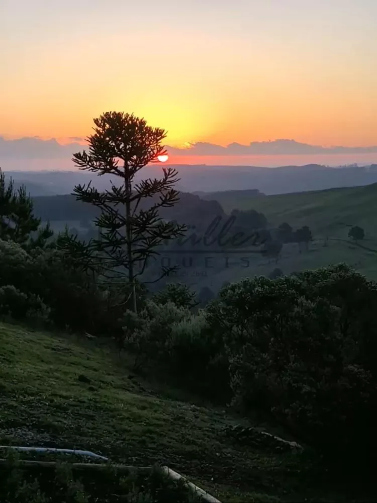 Sítio, 6 m² - Foto 2