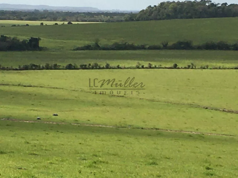 Fazenda, 188 m² - Foto 4