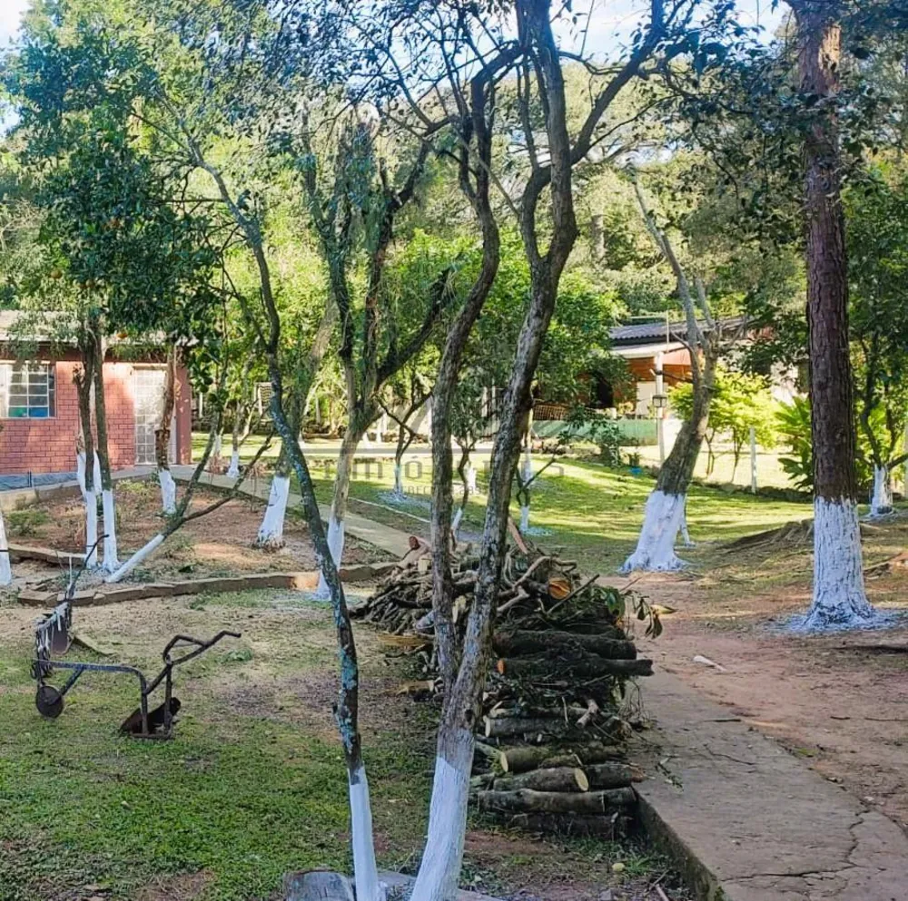 Chácara, 3100 m² - Foto 7