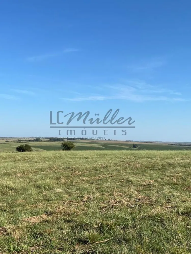 Fazenda, 120 m² - Foto 4