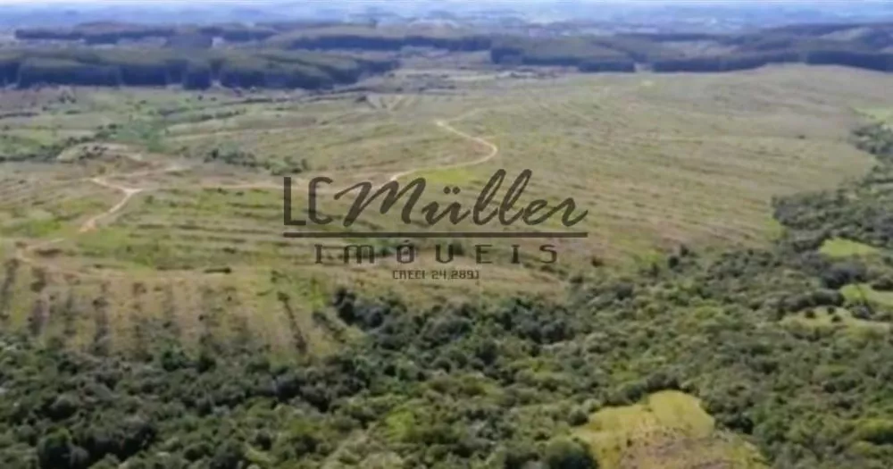 Fazenda, 699 m² - Foto 3