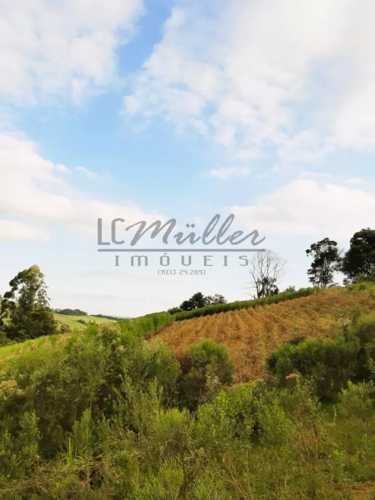 Sítio, 26 m² - Foto 3