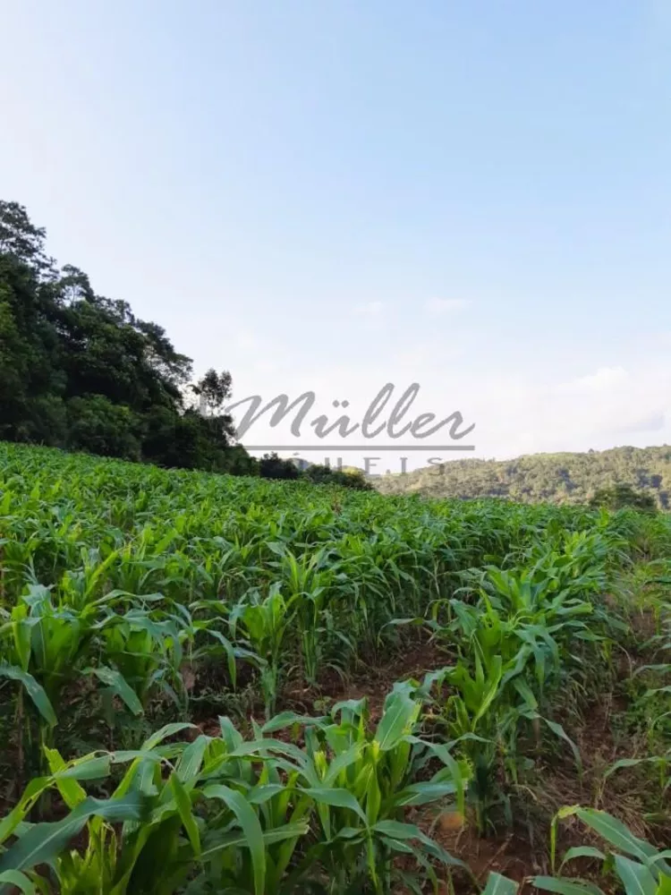 Sítio, 26 m² - Foto 2