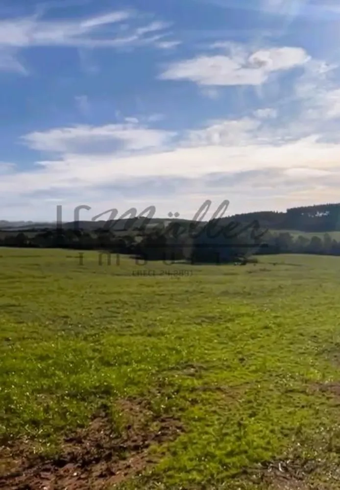 Fazenda, 209 m² - Foto 6