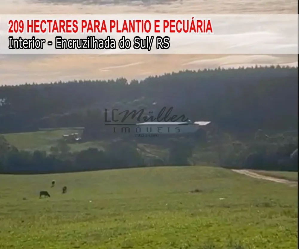 Fazenda, 209 m² - Foto 1