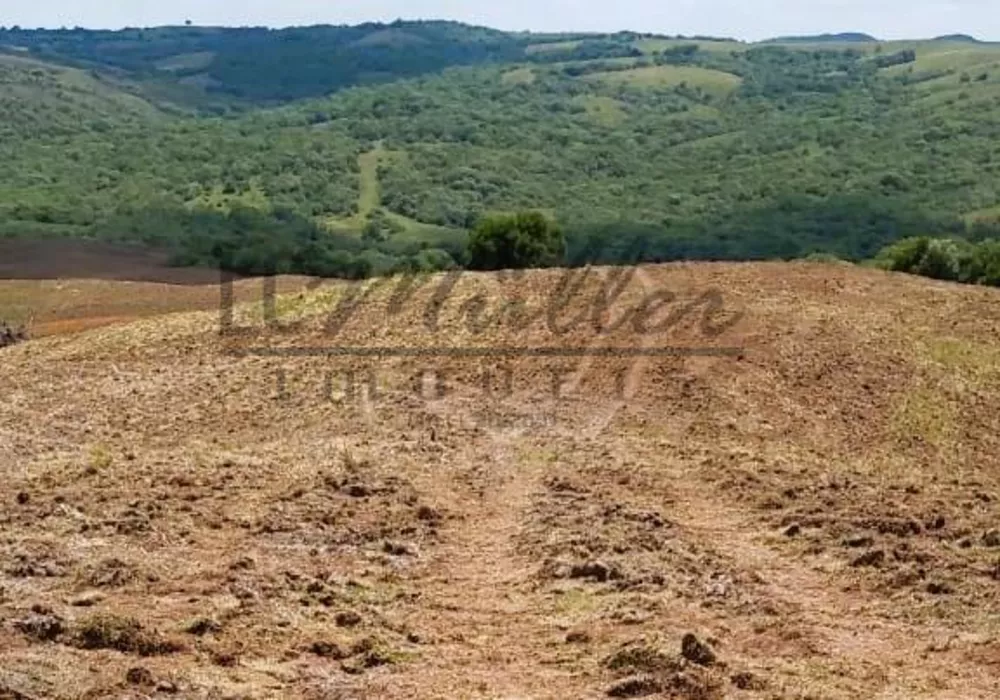 Fazenda, 897 m² - Foto 4