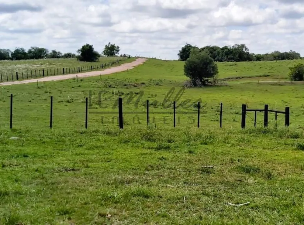 Fazenda, 897 m² - Foto 12