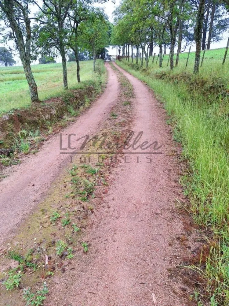 Fazenda, 59 m² - Foto 3