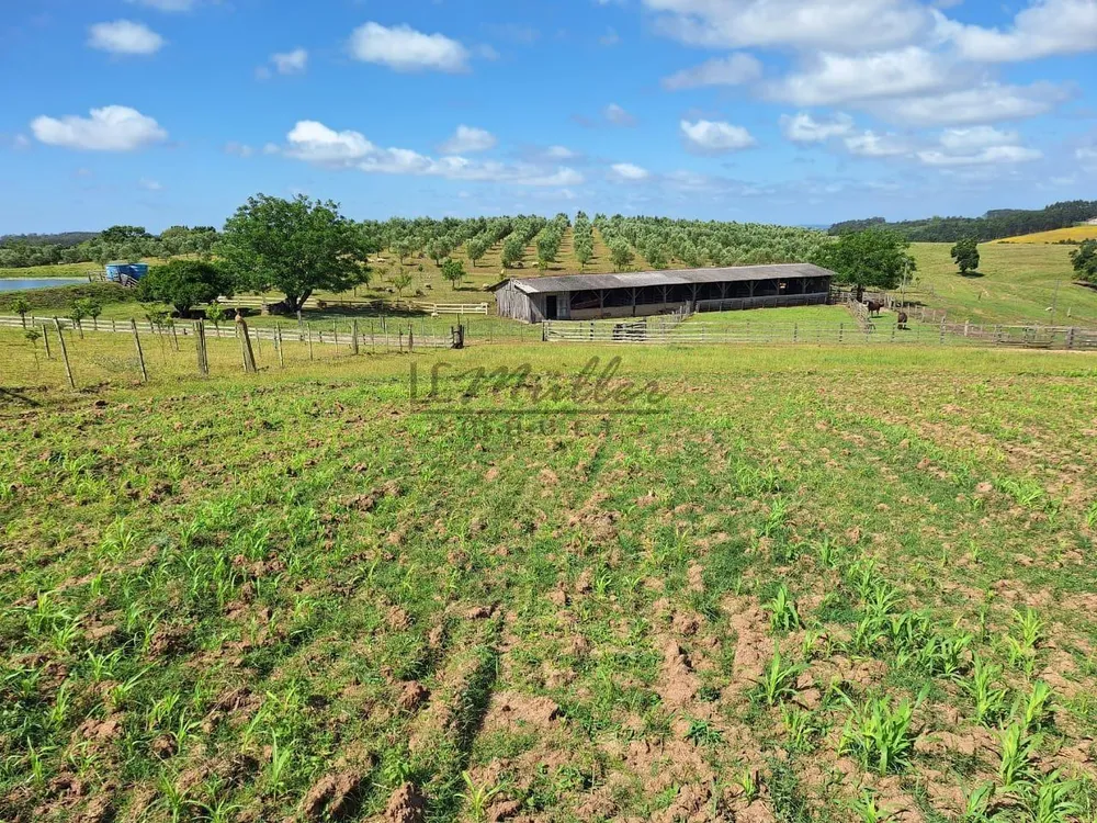 Fazenda, 59 m² - Foto 5