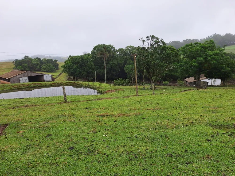 Fazenda, 59 m² - Foto 6