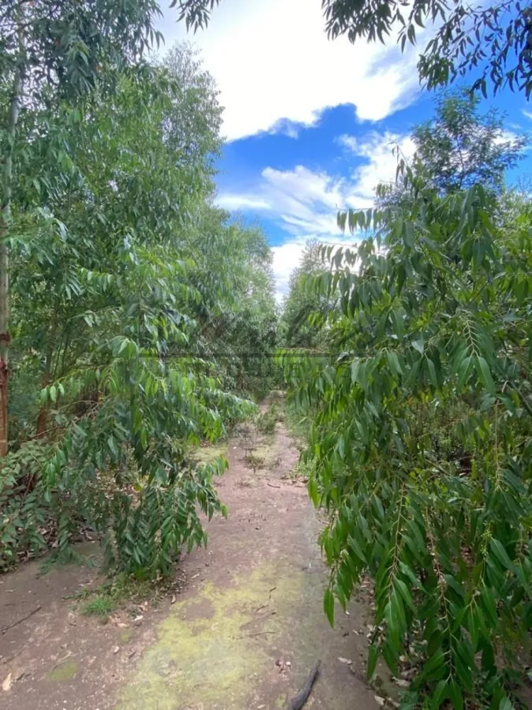 Fazenda, 127 m² - Foto 4