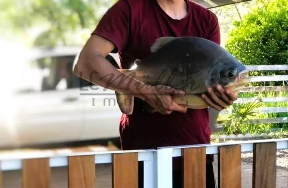 Chácara, 1300 m² - Foto 2