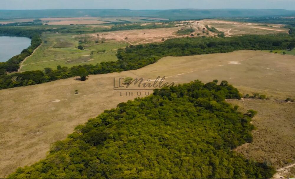 Fazenda-Sítio-Chácara, 10000 m² - Foto 5