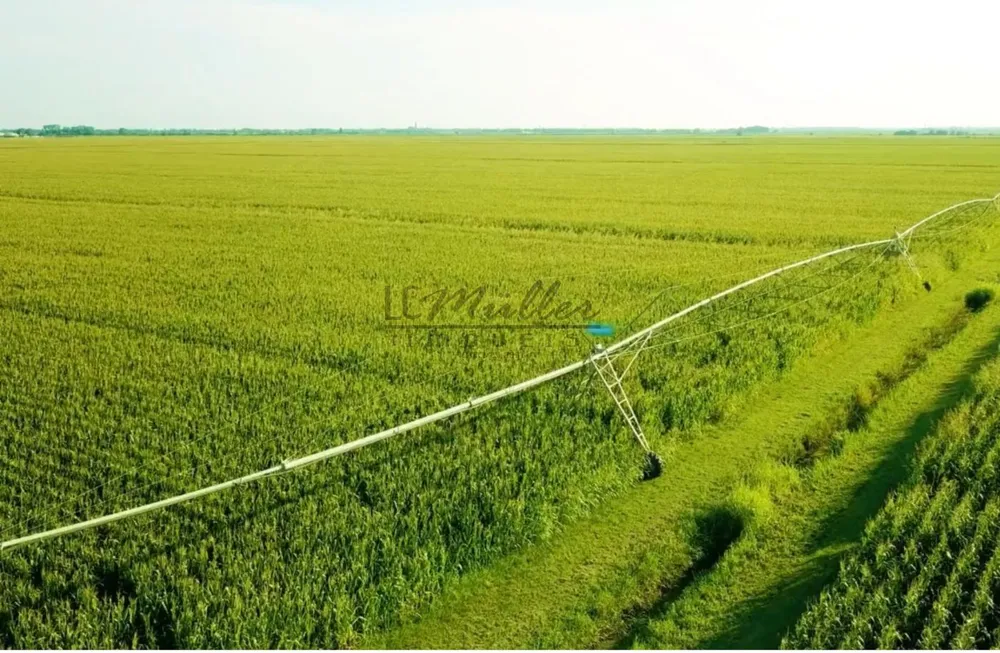 Fazenda, 10000 m² - Foto 23
