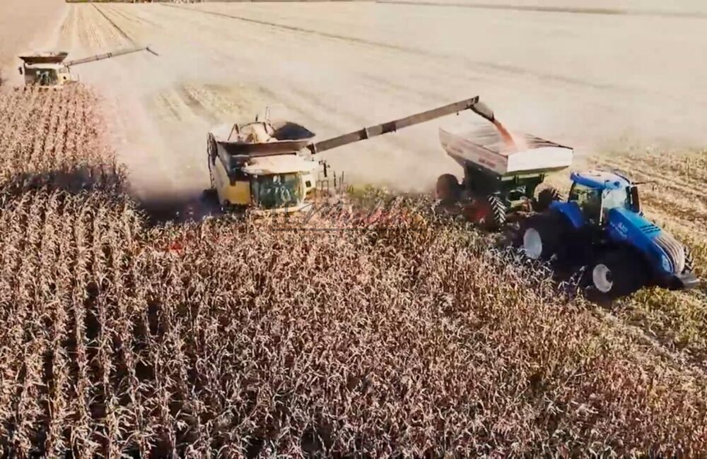 Fazenda-Sítio-Chácara, 10000 m² - Foto 13