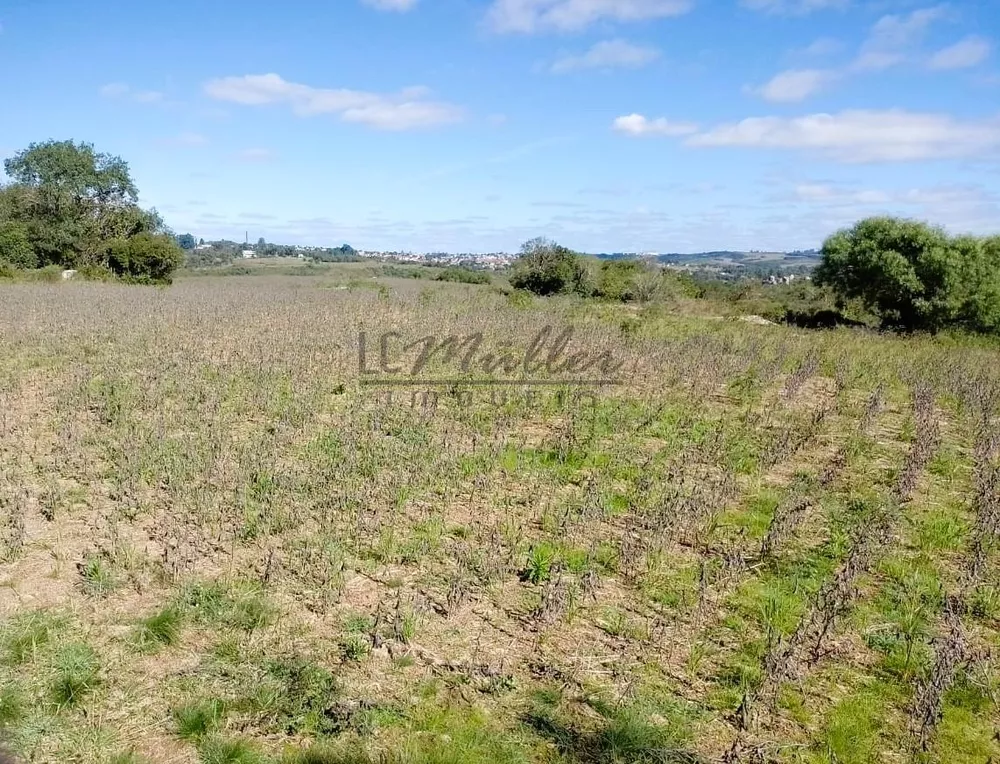 Fazenda, 50 m² - Foto 4